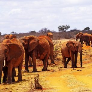 Tsavo East