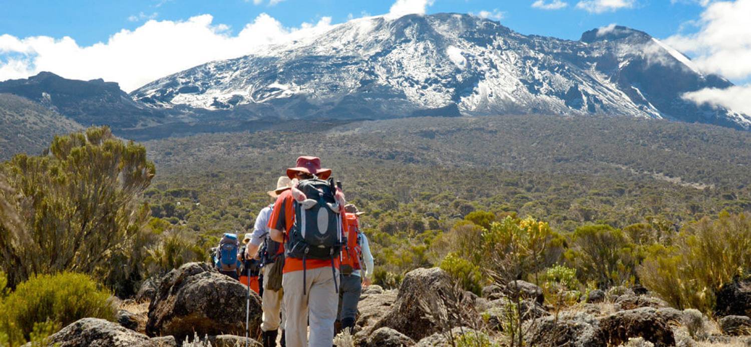 Mt Kilimanjaro Climbing