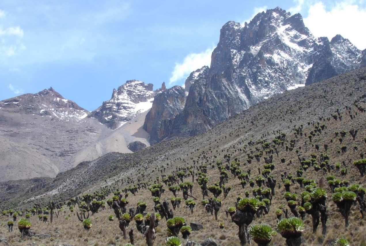 Mt Kenya Climbing